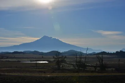 DSC_6022 (Large).JPG